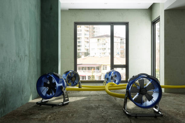 Best Water damage mitigation services  in Discovery Harbour, HI